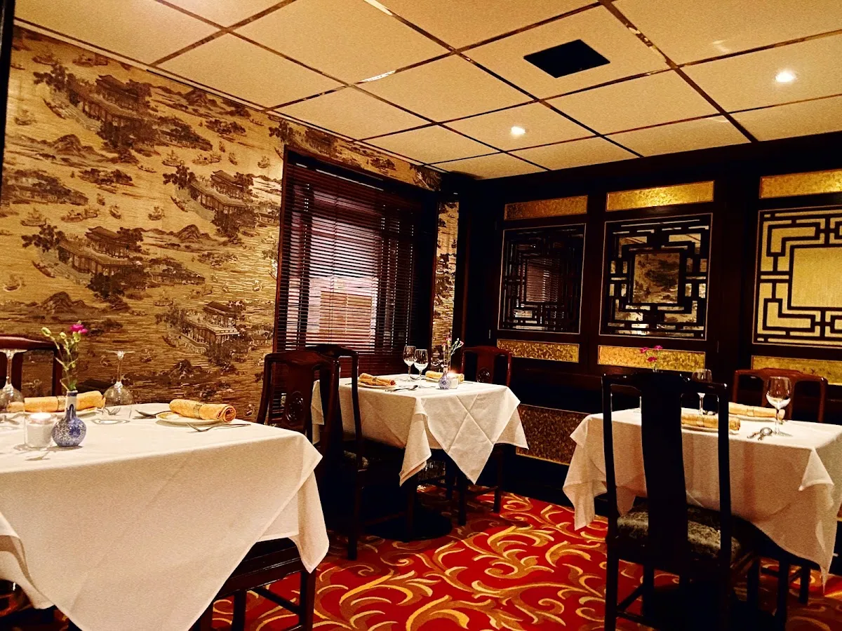 BookNoFees: Εστιατόριο – Yang's – Dublin – του Yang, φωτογραφία 1