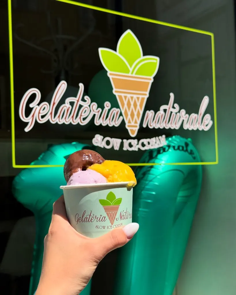 BookNoFees: Παγωτό – Gelateria Naturale – Sofia – Φυσικό Παγωτατζίδικο, φωτογραφία 1