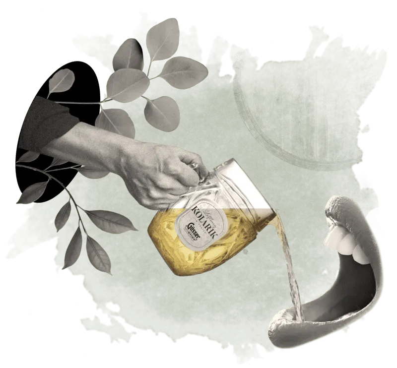 BookNoFees: Εστιατόριο – Luftburg Kolarik – Vienna – Λουφτμπουργκ Κολάρικ, φωτογραφία 1