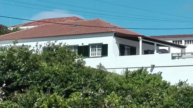 BookNoFees: São Miguel adasında kiralık bütün bir ev – Ribeira Chã